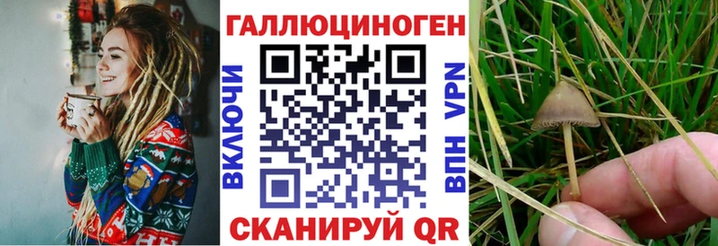 купить наркоту Реутов Псилоцибиновые грибы Cubensis