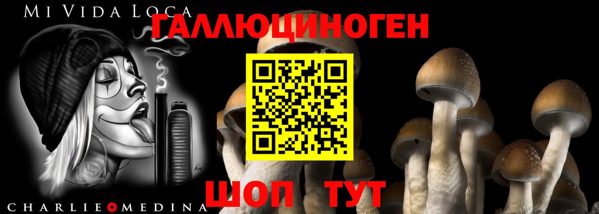 Псилоцибиновые грибы мицелий  Галлюциногенные грибы ЛСД  Вход с VPN  Реутов 